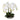 GASPER - Orchidea Phalenopsis Bianca Cod. 1019549-40
