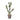 Opuntia 58cm Cod.1718141-00