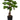 GASPER - Bonsai Artificiale 140cm