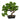 GASPER - Bonsai Artificiale 40cm