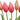 KAEMINGK - Tulipani Artificiali 40 Cm Fuchsia Cod. 803976