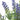 KAEMINGK - Lavanda Artificiale 34cm Cod. 804107