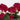 MICA - Balconiera Geranio Artificiale Rosa Scuro 29cm