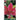 BLUMEN - Llilium Orientale Rosso 2 Bulbi