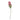 Protea fucsia 60cm Cod.F3042FX