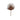 Foglia palma 77cm Cod. F3263