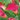 BLUMEN Bulbi Zantedeschia Rosa 1 pz