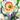Flora Elite - Bulbi Narciso Pink Charm 5 pezzi