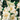 Flora Elite - Bulbi Lilium Candidum 1 pezzo