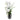 GASPER - Orchidea Phalenopsis Bianca 68cm