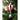 KAEMINGK - Mongolfiera con babbo natale Cod. 125655