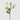 EDG - Rosa inglese gialla 60cm Cod. 2100193A120