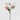 EDG - Rosa inglese rosa chiaro 60cm Cod. 2100193A552