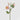 EDG - Rosa inglese crema 60cm Cod. 2100193A554