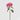 EDG - Ortensia Fucsia 70cm Cod. 2100270A553