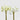 EDG - Ranuncolo Bianco E Verde 30cm Cod. 2100304A170