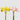 EDG - Ranuncolo Giallo e Rosa 30cm Cod. 2100304A299