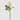 EDG - Rosa Elide Crema 45cm Cod. 2100305A114