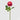 EDG - Rosa Elide Rossa 45cm Cod. 2100305A560