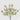 EDG - Phlox Rosa Cespuglio 45cm Cod. 2100330A555