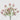 EDG - Phlox Fucsia Cespuglio 45cm Cod. 2100330A559