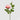 EDG - Rosa Gloria Rosa 60cm Cod. 2100404A554