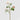 EDG - Rosa Cipria 100cm Cod. 2100428A150