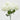 EDG - Ortensia Bianca 50cm Cod. 2100558A100