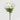 EDG - Peonia Bianca Cespuglio 62cm Cod. 2100611A110