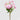 EDG - Peonia Fucsia Cespuglio 62cm Cod. 2100611A553