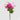 EDG - Peonia Viola Cespuglio 62cm Cod. 2100611A559