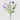 EDG - Scabiosa Lilla Cespuglio 62cm Cod. 2100612A661