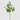 EDG - Ranuncolo Bianco 55cm Cod. 213956,12