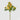 EDG - Ranuncolo Giallo 55cm Cod. 213956,20