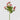EDG - Ranuncolo Rosa 55cm Cod. 213956,50