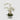 EDG - Orchidea Phalenopsis bianca 84cm Cod. 214906,100