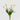 EDG - Tulipano Bianco 40cm Cod. 214959,100