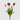 EDG - Tulipano Rosa 40cm Cod. 214959,520