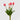 EDG - Tulipano Corallo 40cm Cod. 214959,570