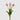 EDG - Tulipano Malva 40cm Cod. 214959,620