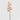 EDG - Orchidea Cymbidium Malva 90cm Cod. 215832,620