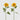 EDG - Girasole 60cm Cod. 216116,200