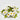 EDG - Girocandela Margherita Cod. 217502.10