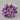 EDG - Gircocandela Crocus Cod. 219967.68