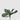 EDG - Foglia Phalenopsis 27cm Cod. 2300203A700
