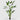 EDG - Strelitzia 215cm Cod. 2300274A700