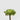 EDG - Succulenta 25cm Cod. 232427,71