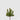 EDG - Succulenta 25cm Cod. 232441,70