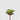 EDG - Agave Bell 16cm Cod. 232807,710