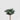 EDG - Agave Bell 16cm Cod. 232807,860